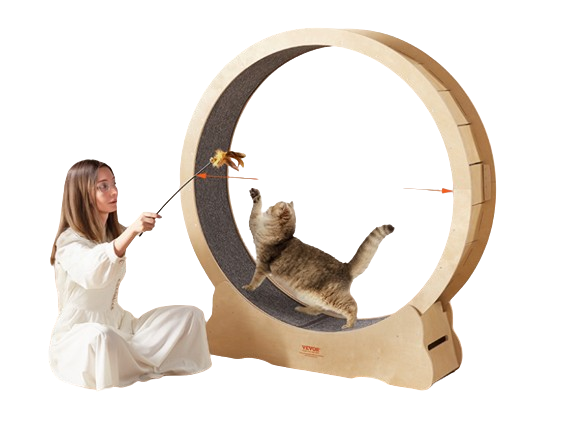 Cat Treadmill - Petzii