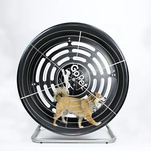 GoPet Toy Small Breed Treadwheel - CG 4012D - Petzii