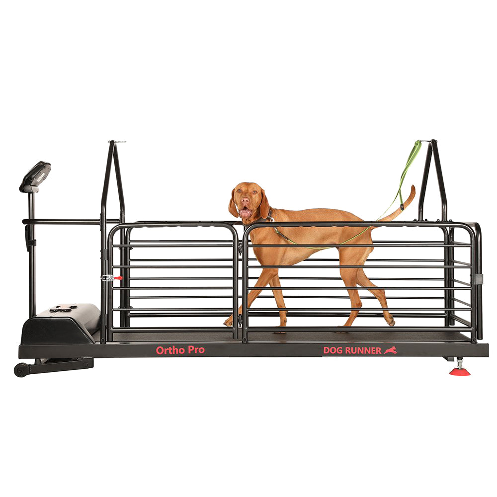 Dog Runner Treadmill Ortho Pro - Petzii