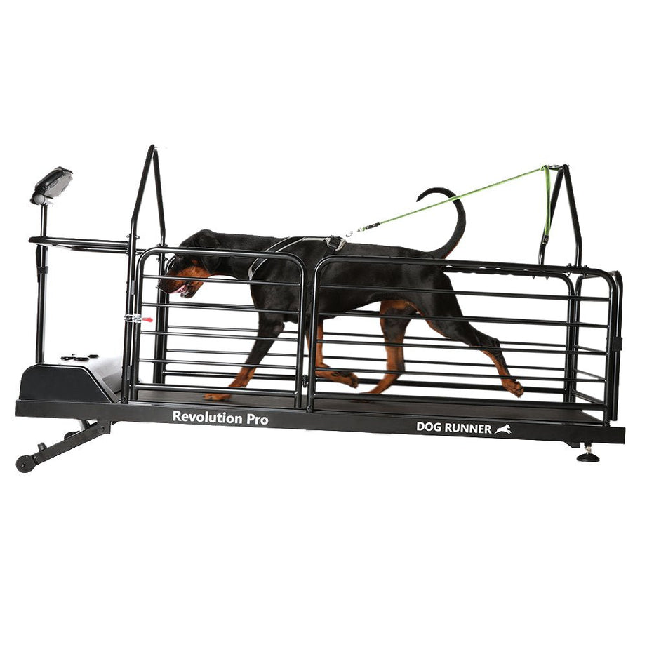 Dog Runner Treadmill Revolution Pro - Petzii