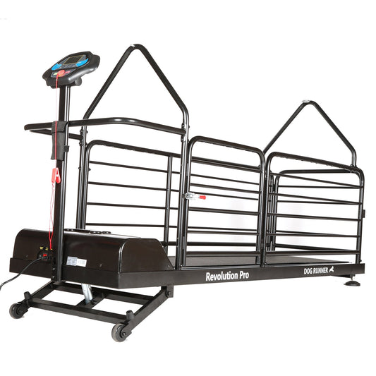 Dog Runner Treadmill Revolution Pro - Petzii