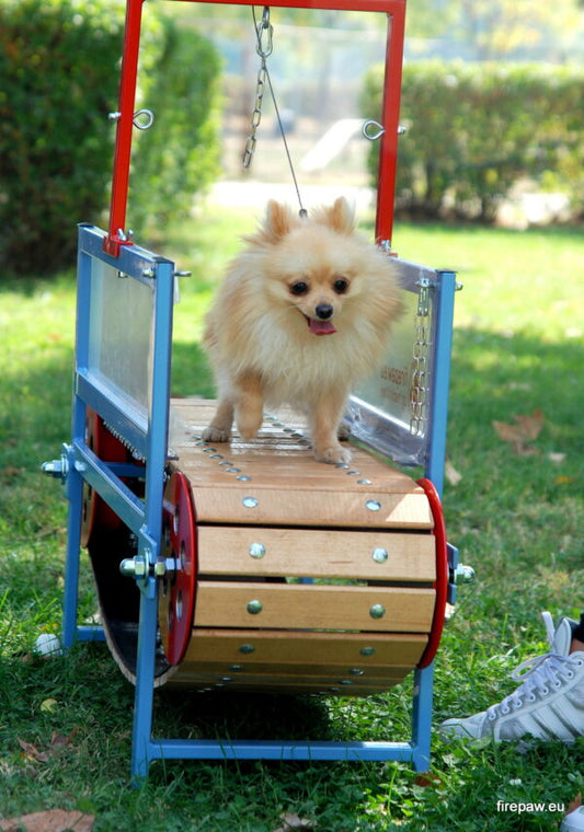 Firepaw Mini Dogs Treadmill - Petzii