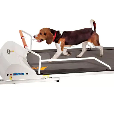 PetRun 52" Small Foldable Dog Treadmill