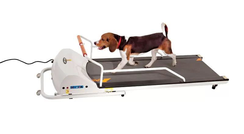 PetRun 52" Small Foldable Dog Treadmill