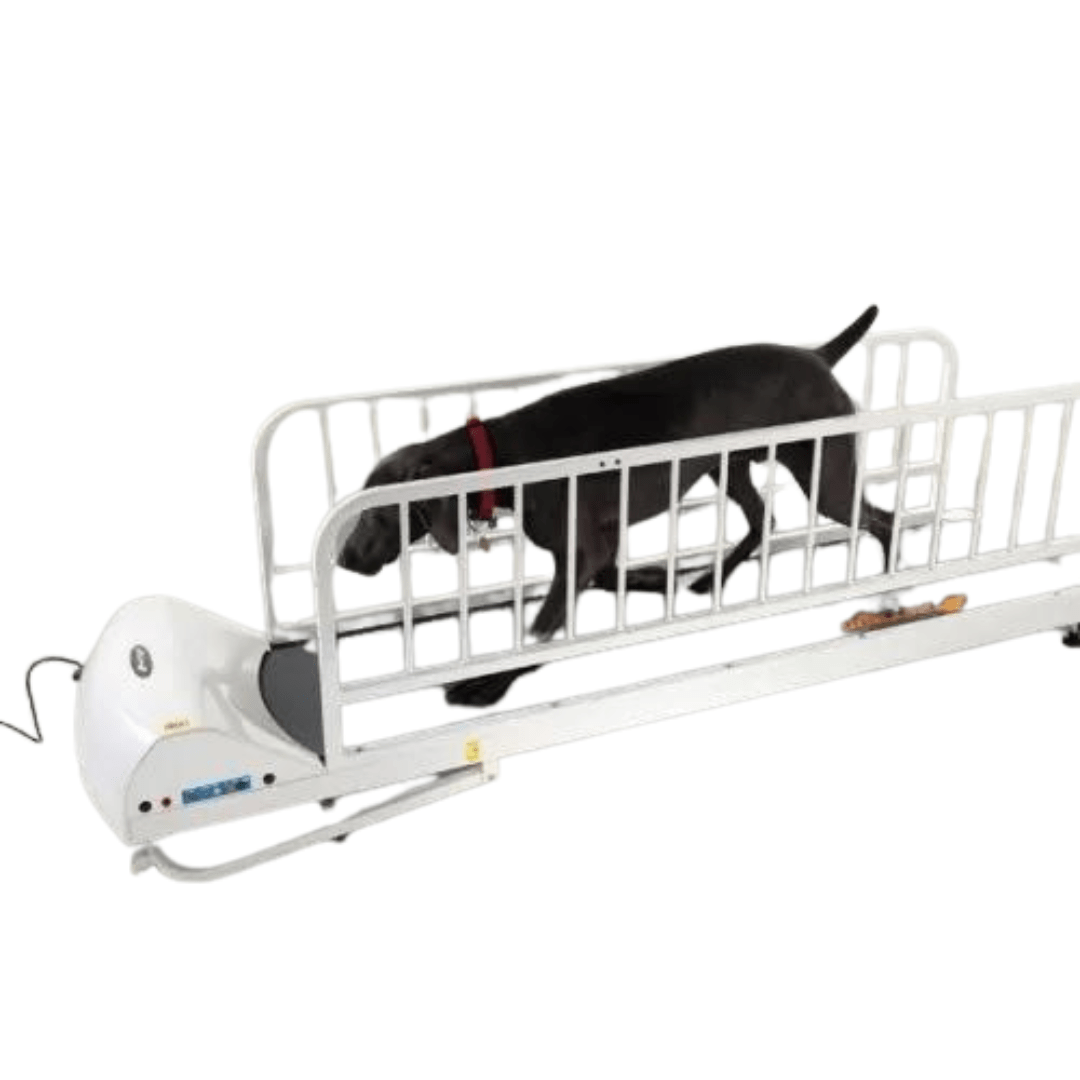 PetRun 72" Large Dog Treadmill - PR 725E