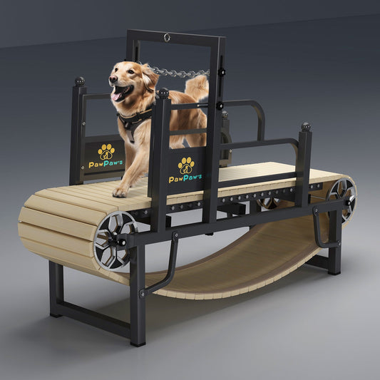 PawPaw's Dog Treadmill For Large Dogs - Petzii