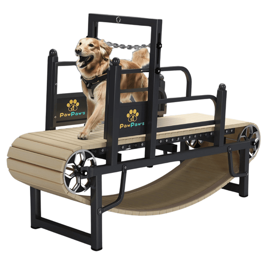 PawPaw's Dog Treadmill For Large Dogs - Petzii