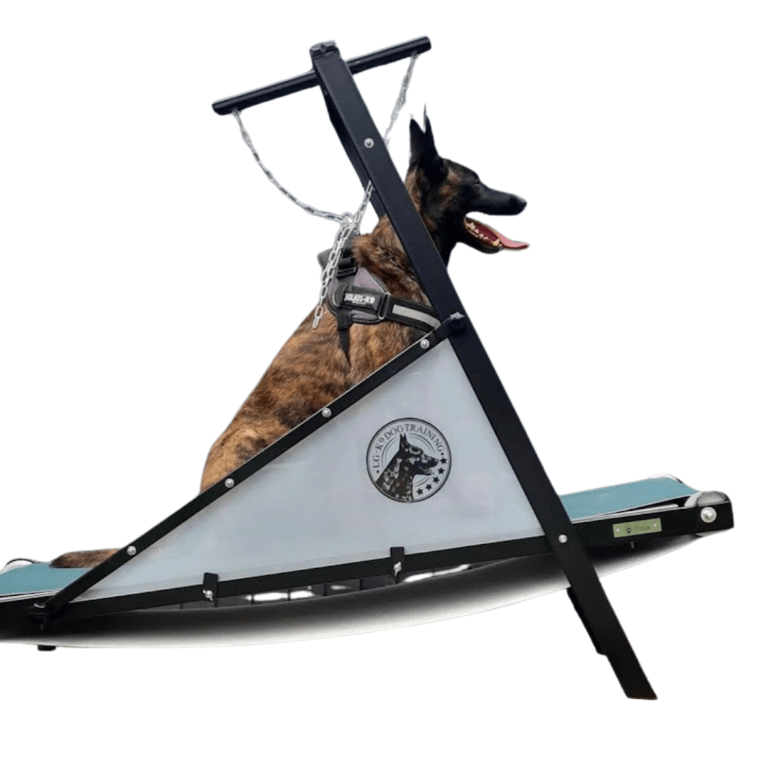 Firepaw Dragon “Carpet” Dog Treadmill - Petzii