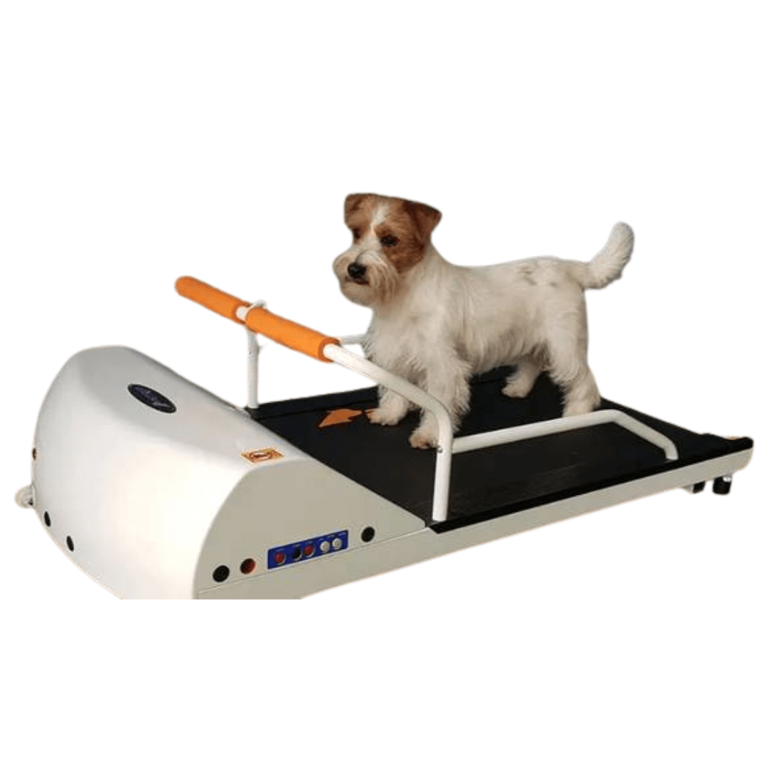 PetRun Toy Small Dog Treadmill - PR 700 - Petzii